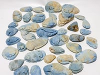 38 Pieces Blue Dumortierite Fish Carving