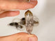 Super 7 Crystal Keychain Wholesale Mixed Citrine Geothite