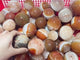 1.5-2.7in Carnelian Mixed Quartz Stripe Spheres Wholesale