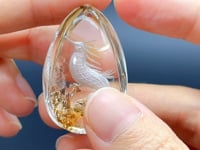 5 Pieces Seahorse Garden Quartz Inner Scene Carving