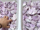 Natural Kunzite Purple Spodumene Raw Stone wholesale