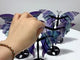 5 Pairs Symmetry Fluorite Butterfly Wing With Stand