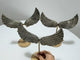 3 Pairs High Quality Pyrite Angel Wing With Stand