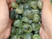 Natural Green Prehnite Tumbled Wholesale