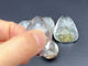 5 Pieces Pegasus Garden Quartz Inner Scene Carving