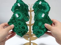 2 Pairs Polished Malachite Raw Slab Butterfly Wing Crystal Carving With Stand (#1)