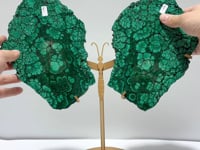 Large Polished Malachite Raw Slab Butterfly Wing With Stand (#4)