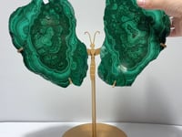 Beautiful Large Polished Malachite Raw Slab Butterfly Wing With Stand (#6)