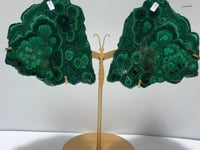 Polished Malachite Raw Slab Butterfly Wing With Stand (#9)