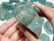19 Pieces Beautiful Amazonite Sea Animal Carving
