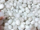 Natural Sri Lanka White Moonstone Tumbled Wholesale