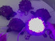 Amethyst Cluster Turtle LED Table Lamp Decorations