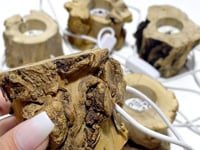 Wooden Root LED Crystal Stand