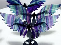 3 Pairs Beautiful Fluorite Angel Wing With Stand