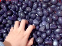 Blue Sandstone Tumbled Wholesale