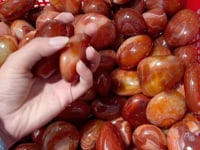 Natural Carnelian Palm Tumbled Wholesale