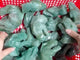 Green Aventurine Dinosaur Head Carving Wholesale