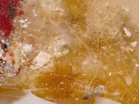 Rare Rutile Mixed Garden Quartz Polished Raw Side Crystal