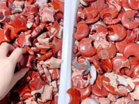 Red Jasper Moon And Star Wholesale