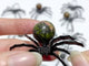 Clear Quartz Unakite Sphere Spider Ornament Handmade Alloy Spider Wholesale