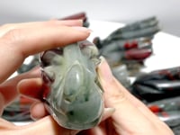 10 Pieces Africa Blood Stone Dragon Head Carving