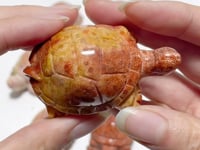 8 Pieces High Quality Coral Jade Turtle Carving #1