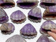 12 Pieces Amethyst Mixed Stripe Agate Shell Carving