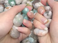 0.7-1.3in Green/White Flower Agate Tumbled Sakura Agate Wholesale