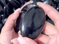 Black Obsidian Palm Wholesale