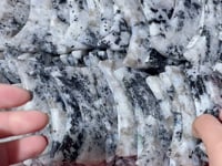 India Moonstone Moon Shape Wholesale