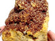 Large Garnet Specimen Raw Cluster