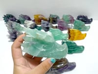 20 Pieces Rainbow Fluorite Dragon Head Carving