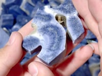 Blue Ridge Coral Free Form Heliopora Coerulea Wholesale