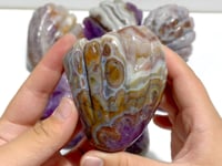8 Pieces Amethyst Mixed Stripe Agate Shell Carving (Defect)