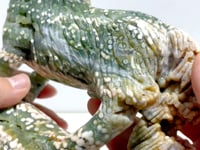 Large 8th Vein Ocean Jasper Wolf Carving