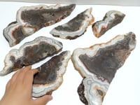 6 Pieces Beautiful Morocco Agate Cloud Shape Polished Slab