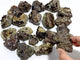 21 Pieces Small Raw Garnet Specimen