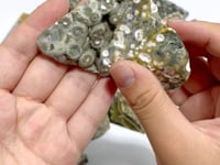 23 Pieces 8th Vein Ocean Jasper High Quality Free Form Mixed Size #A01