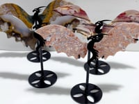 4 Pairs Flying Dragon Wing With Stand Pink Agate Ocean Jasper