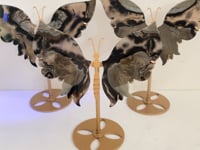 3 Pairs Volcano Agate Butterfly Wing Carving With Stand (UV Reactive)
