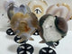 7 Pieces Geode Druzy Agate Fish Carving With Stand