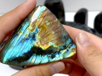 19 Pieces High Quality Polished Labradorite Free Form