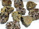 11 Pieces Raw Garnet Specimen For Collection