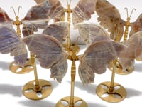 6 Pairs Sunstone Mixed Moonstone Butterfly Wing Carving With Stand