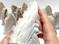 15 Pieces Clear Quartz Cluster Butterfly Fairy Carving