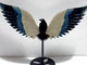 Unique Trolleite Stone Eagle Wing Carving With Stand #A05