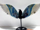 Unique Trolleite Stone Eagle Wing Carving With Stand #A03