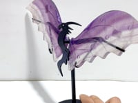 Unique Fluorite Flying Dragon Wing With Stand