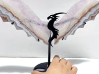 Unique Amethyst Mixed Agate Flying Dragon Wing Carving With Stand