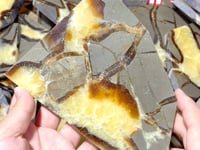 Septarian Slab Wholesale